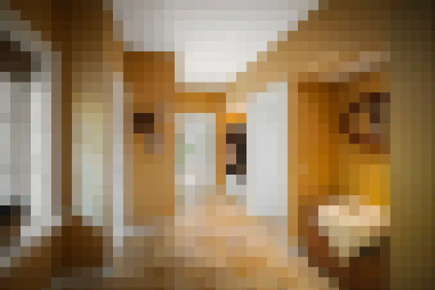 Ehzerallee 8 Almen thumbnail 26