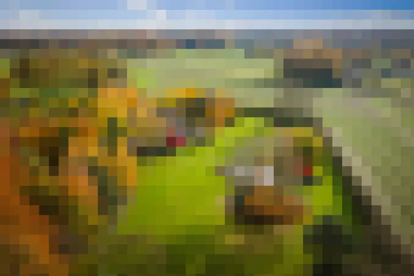 Ehzerallee 8 Almen thumbnail 45