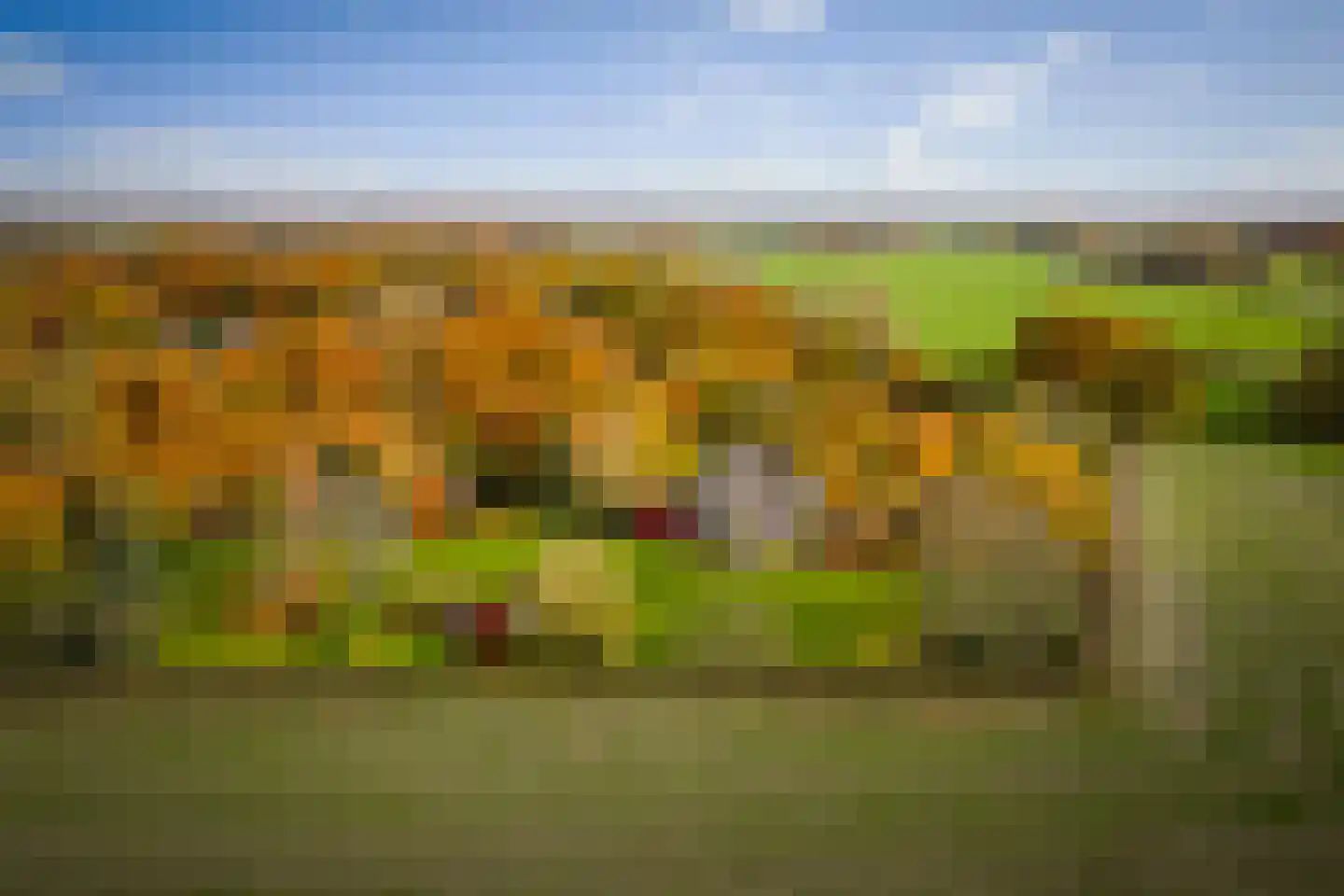 Ehzerallee 8 Almen thumbnail 46