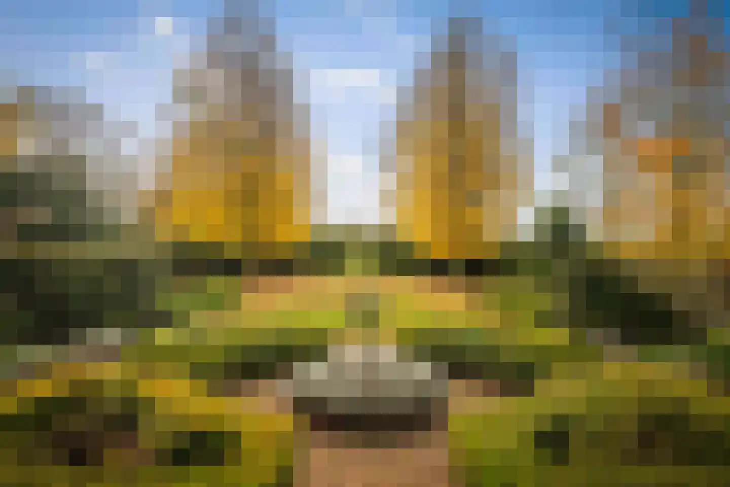 Ehzerallee 8 Almen thumbnail 47