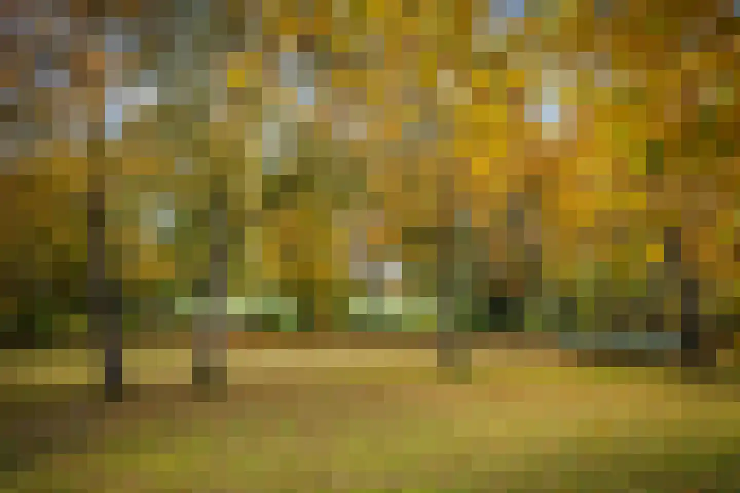 Ehzerallee 8 Almen thumbnail 51