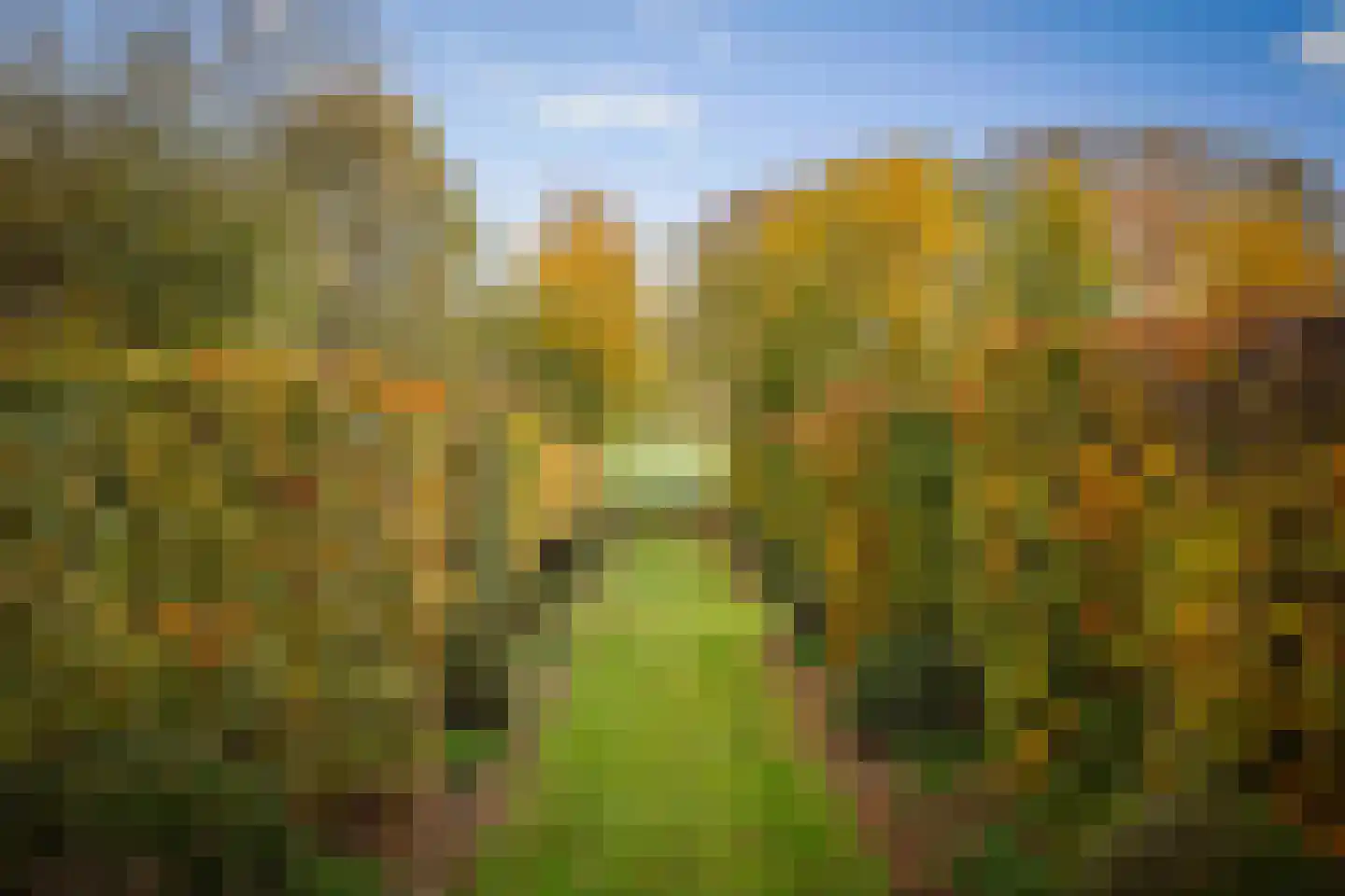 Ehzerallee 8 Almen thumbnail 53