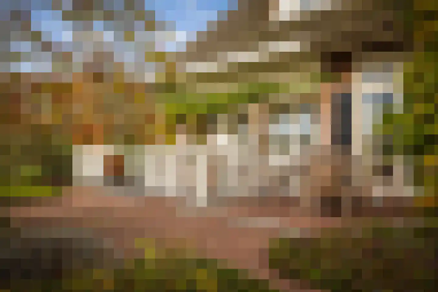 Ehzerallee 8 Almen thumbnail 57