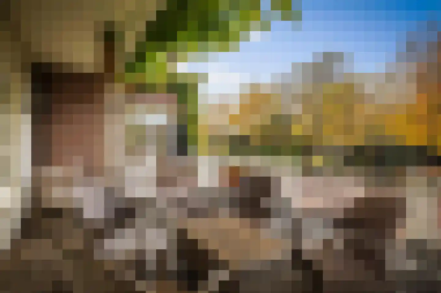 Ehzerallee 8 Almen thumbnail 58