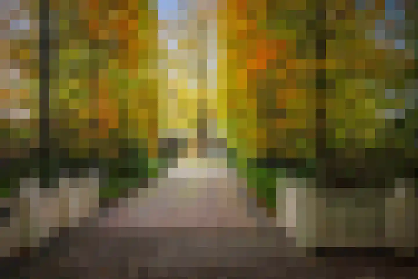 Ehzerallee 8 Almen thumbnail 6