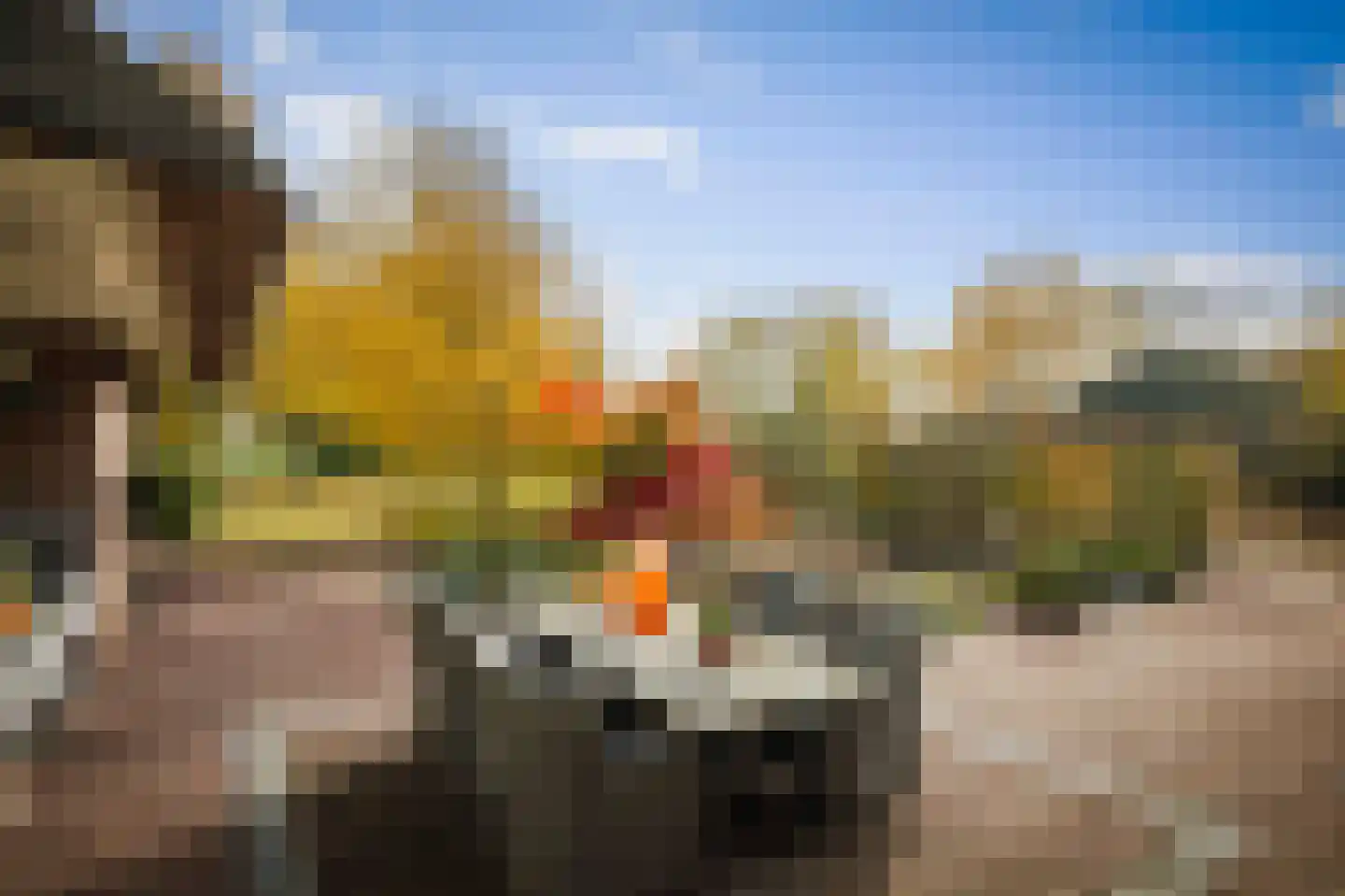 Ehzerallee 8 Almen thumbnail 64