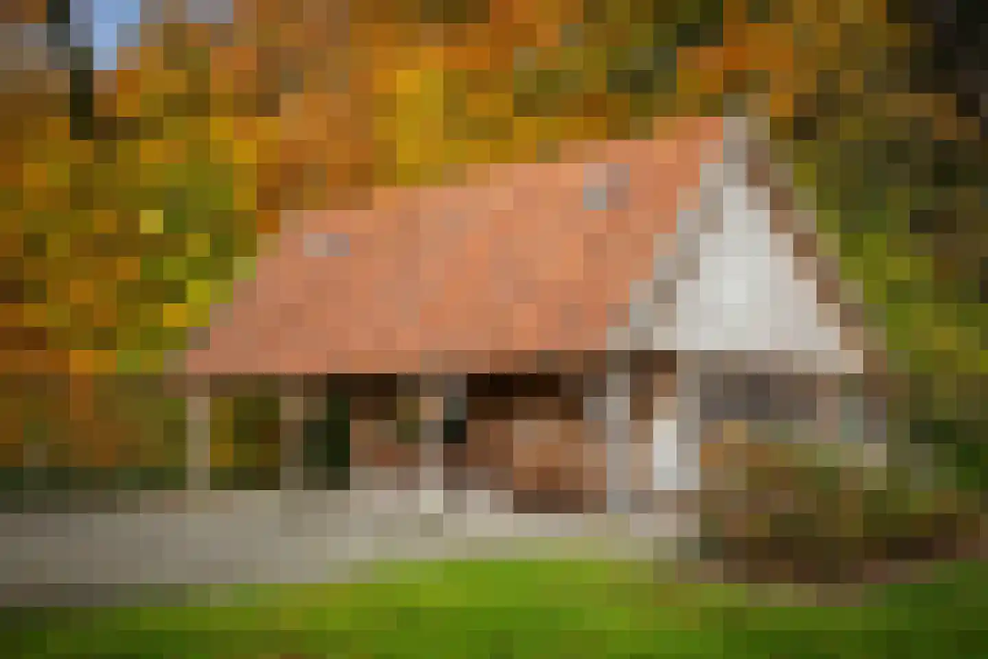 Ehzerallee 8 Almen thumbnail 67