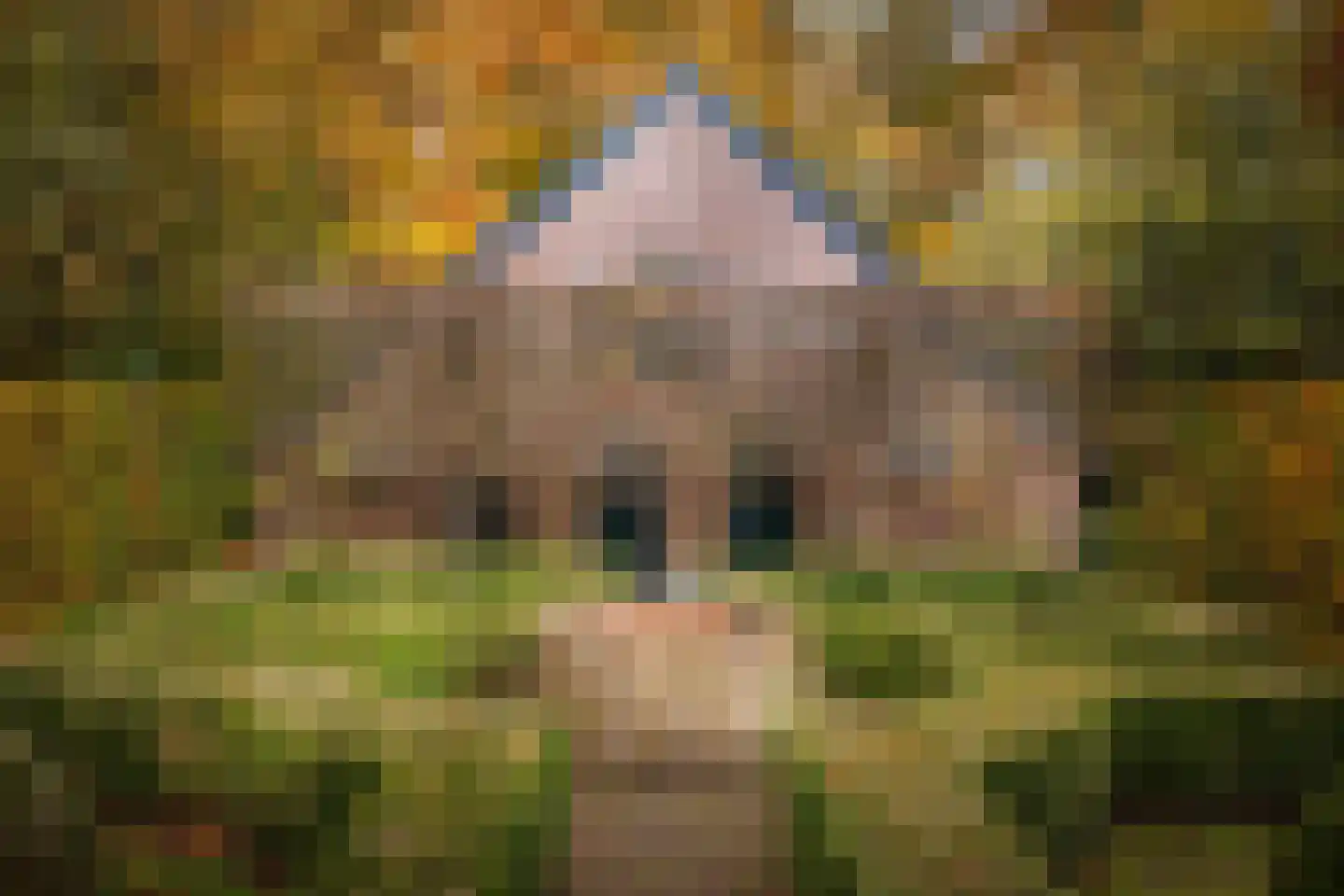 Ehzerallee 8 Almen thumbnail 68