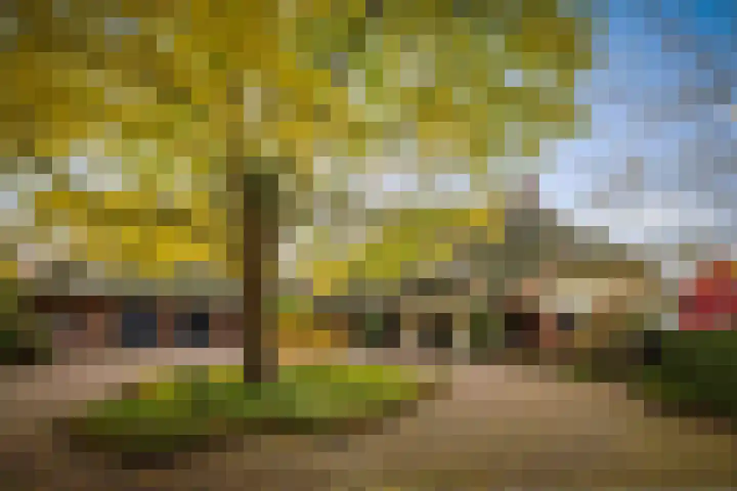 Ehzerallee 8 Almen thumbnail 7