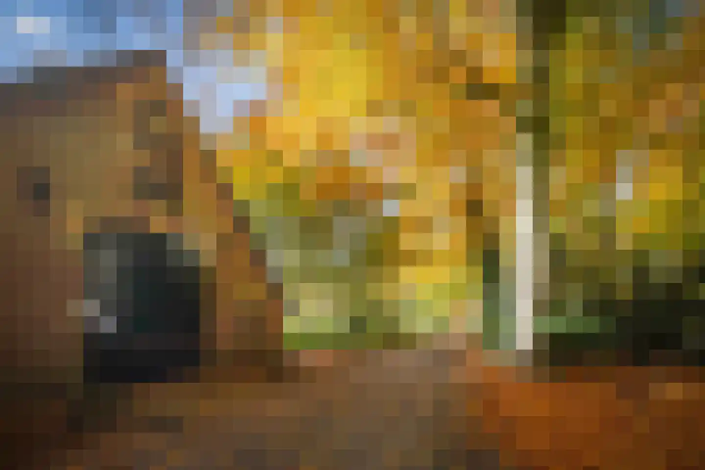 Ehzerallee 8 Almen thumbnail 70