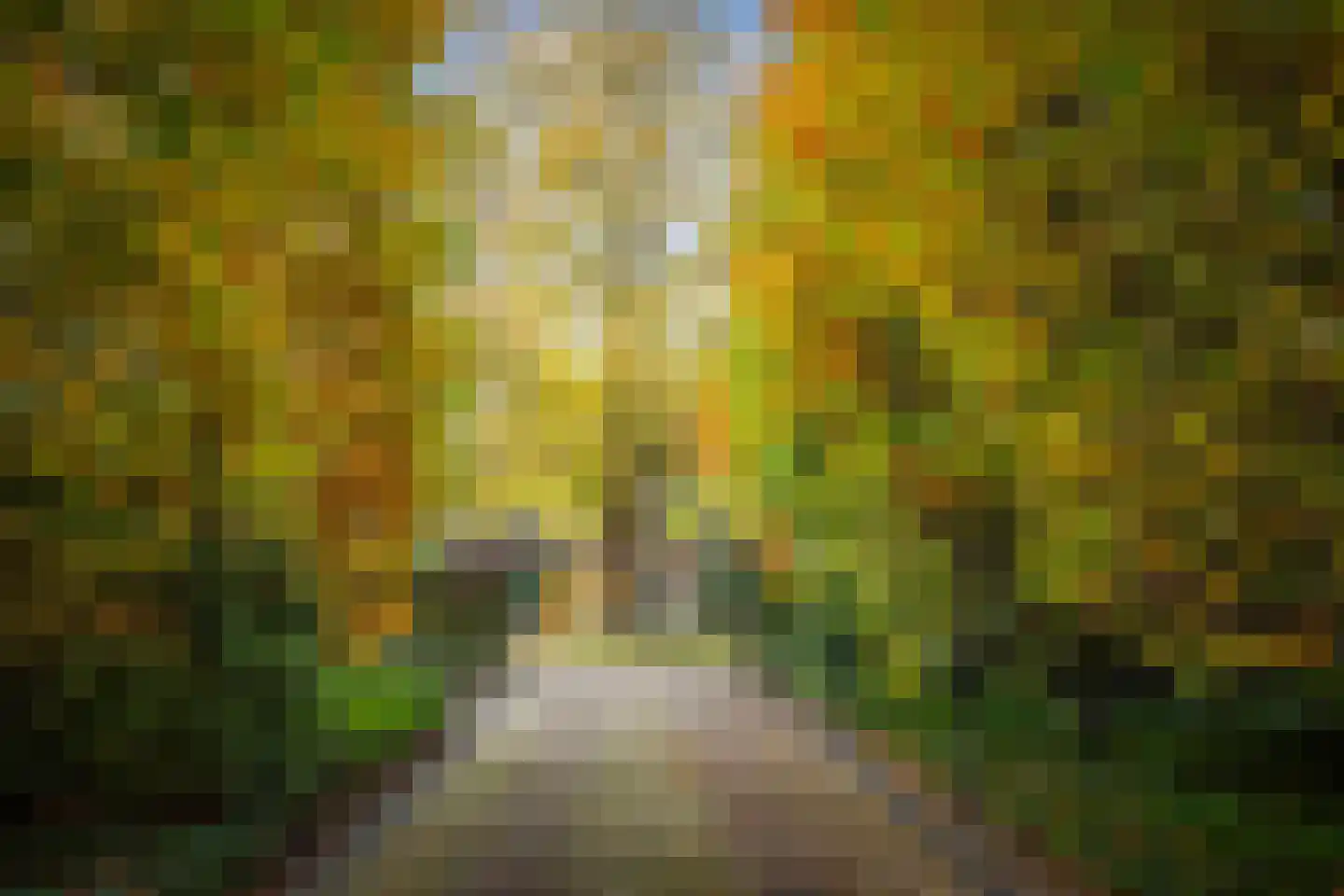 Ehzerallee 8 Almen thumbnail 71