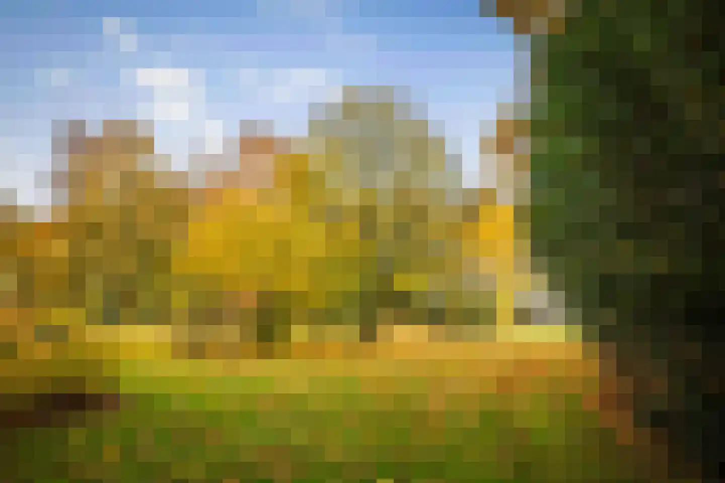 Ehzerallee 8 Almen thumbnail 75