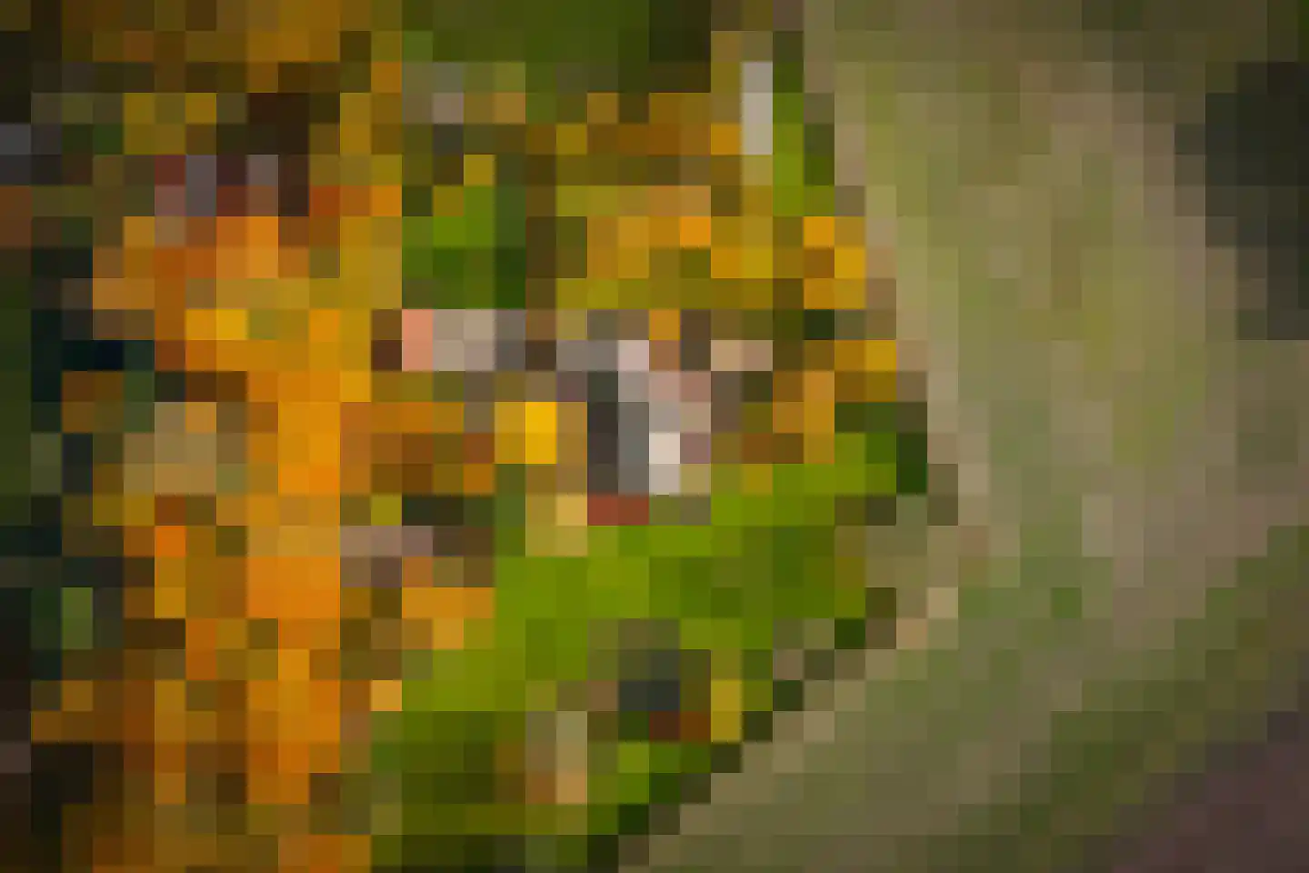 Ehzerallee 8 Almen thumbnail 77