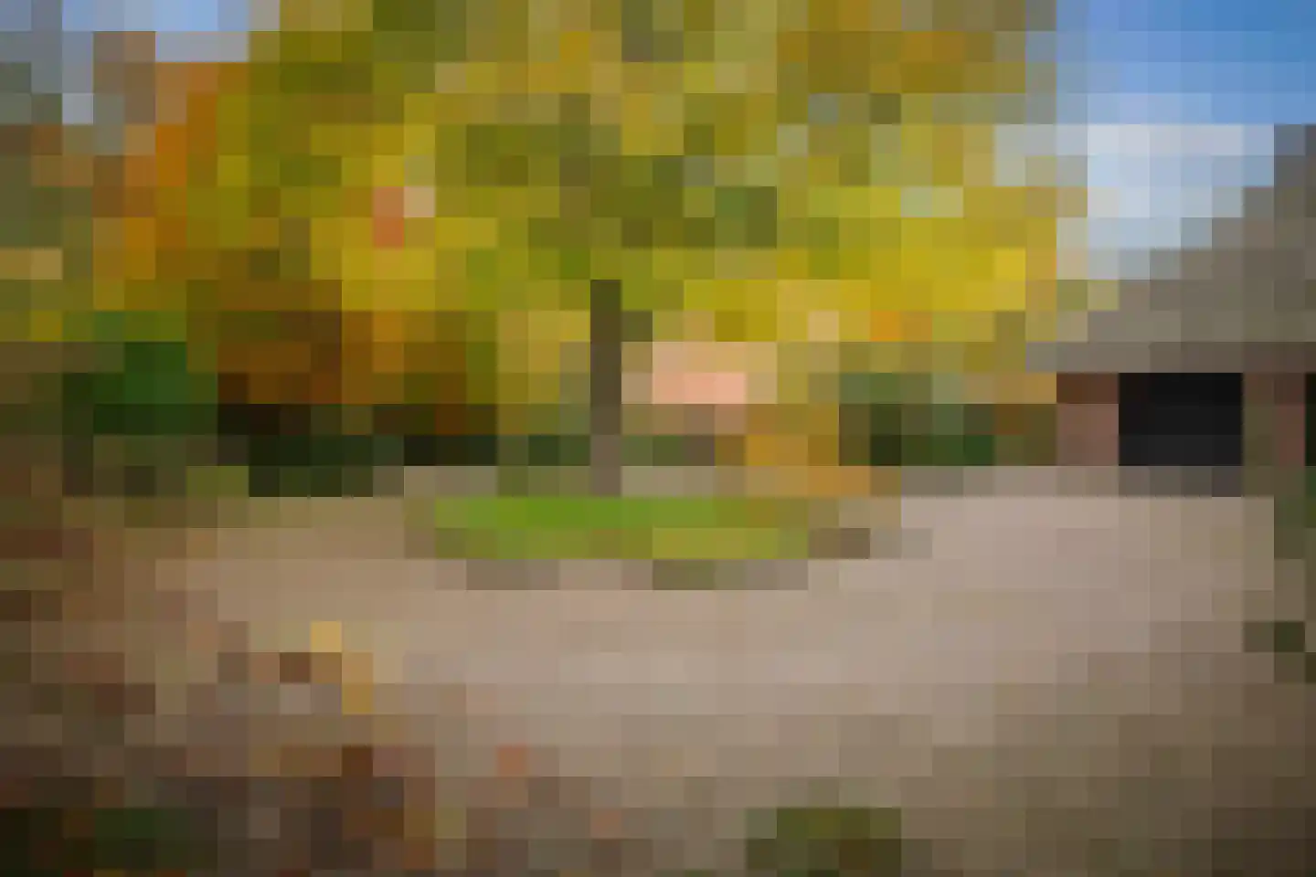 Ehzerallee 8 Almen thumbnail 80