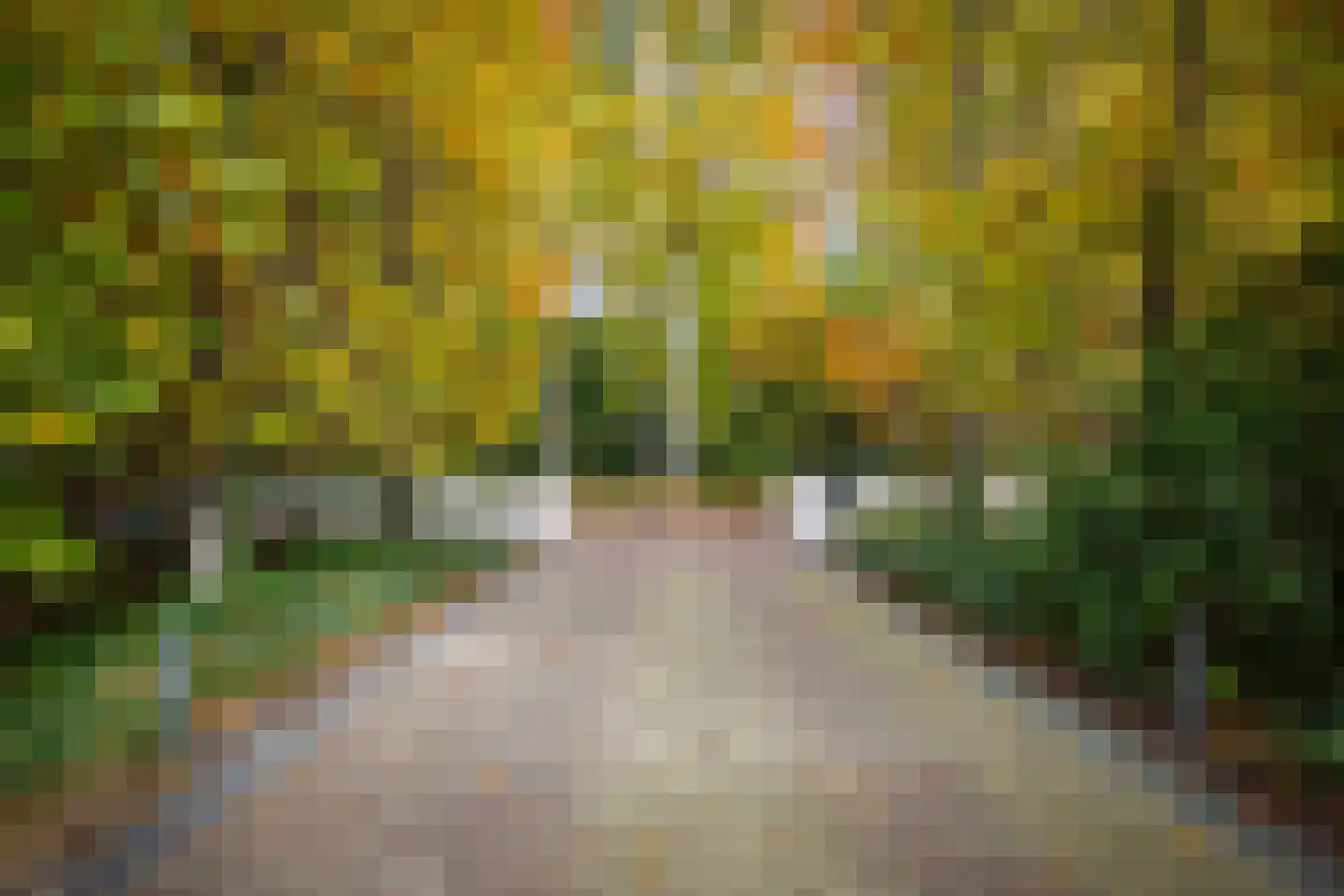 Ehzerallee 8 Almen thumbnail 81