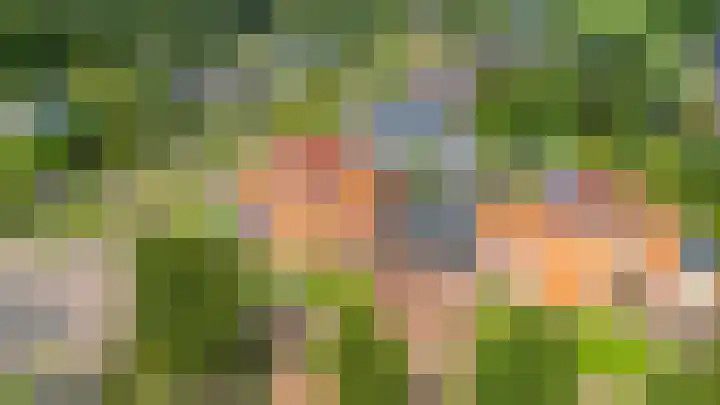 Eiber 14 Grootegast thumbnail 10