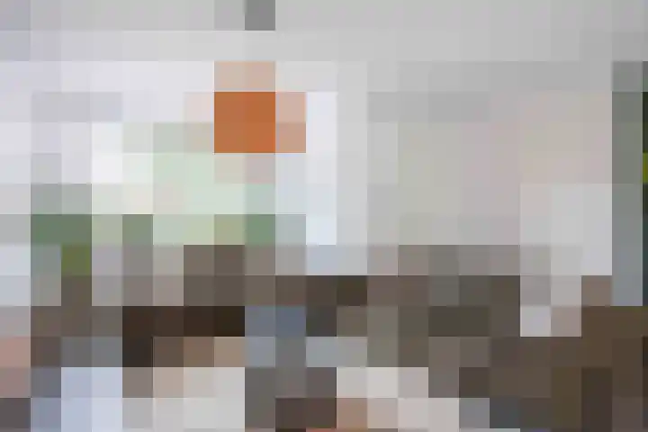 Eiber 14 Grootegast thumbnail 22