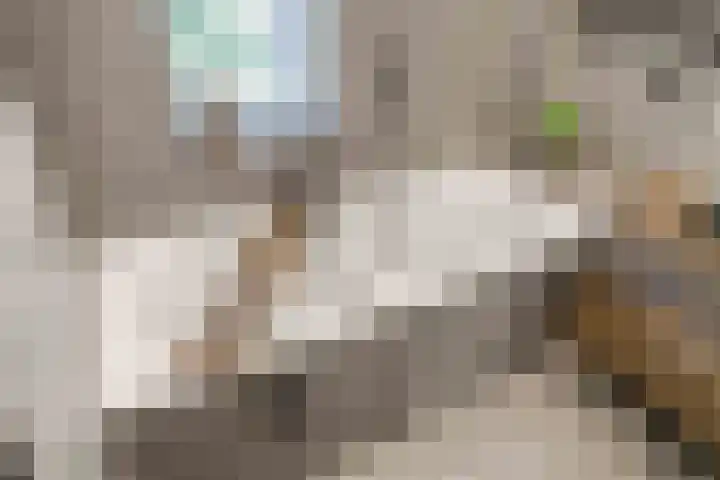 Eiber 14 Grootegast thumbnail 42