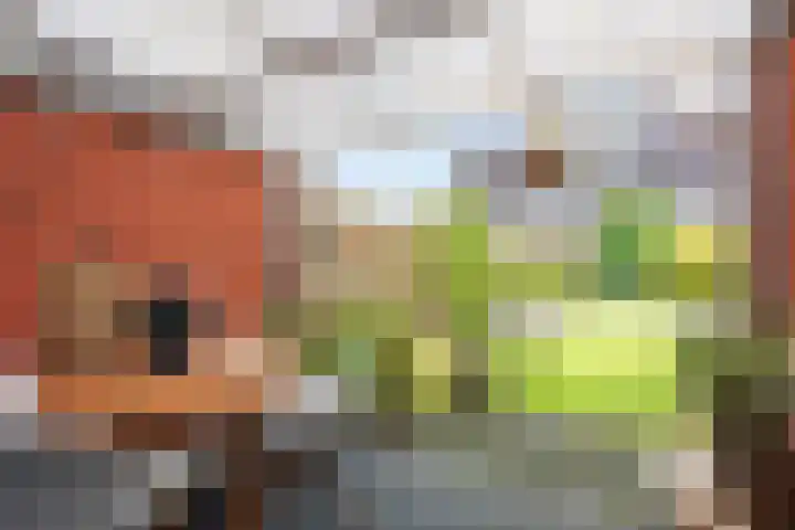Eiber 14 Grootegast thumbnail 46