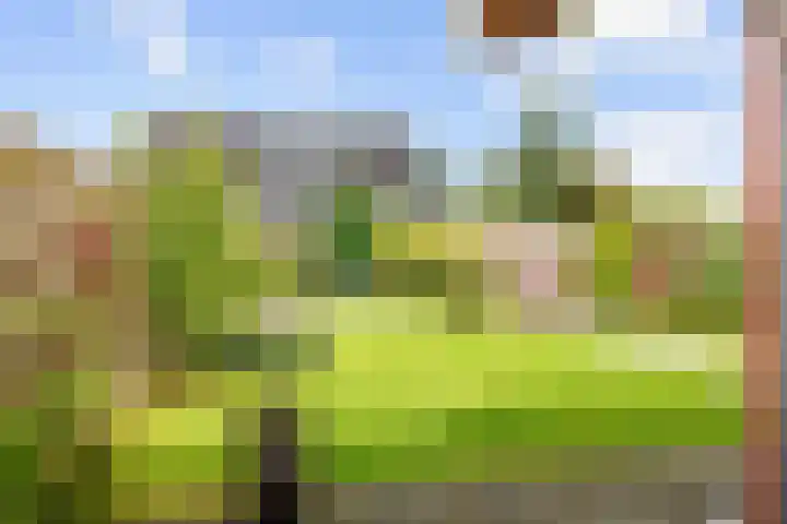 Eiber 14 Grootegast thumbnail 48