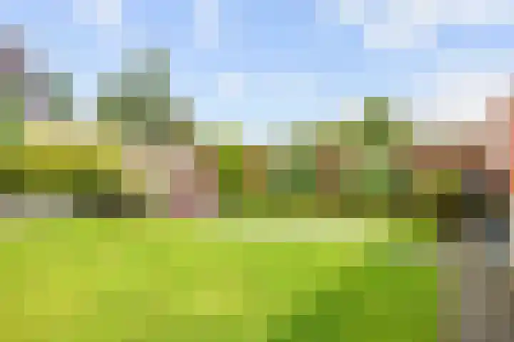 Eiber 14 Grootegast thumbnail 49