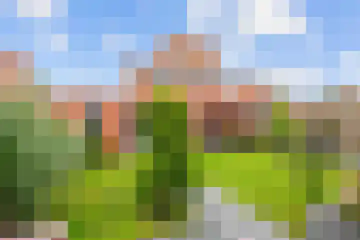 Eiber 14 Grootegast thumbnail 51