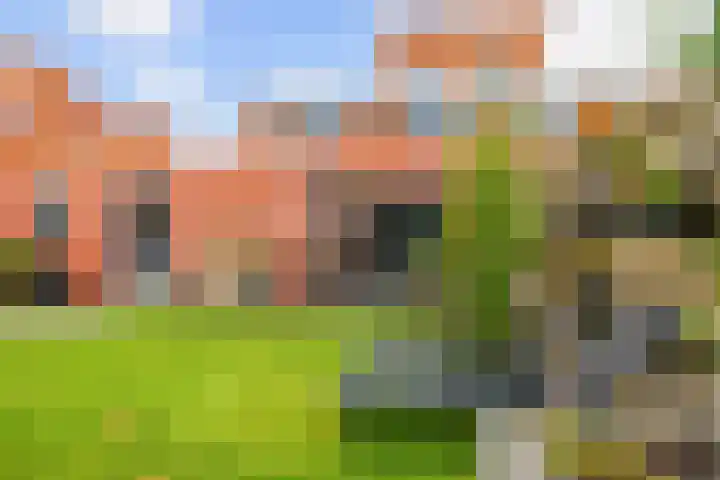 Eiber 14 Grootegast thumbnail 53