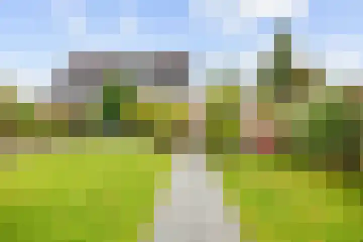Eiber 14 Grootegast thumbnail 7
