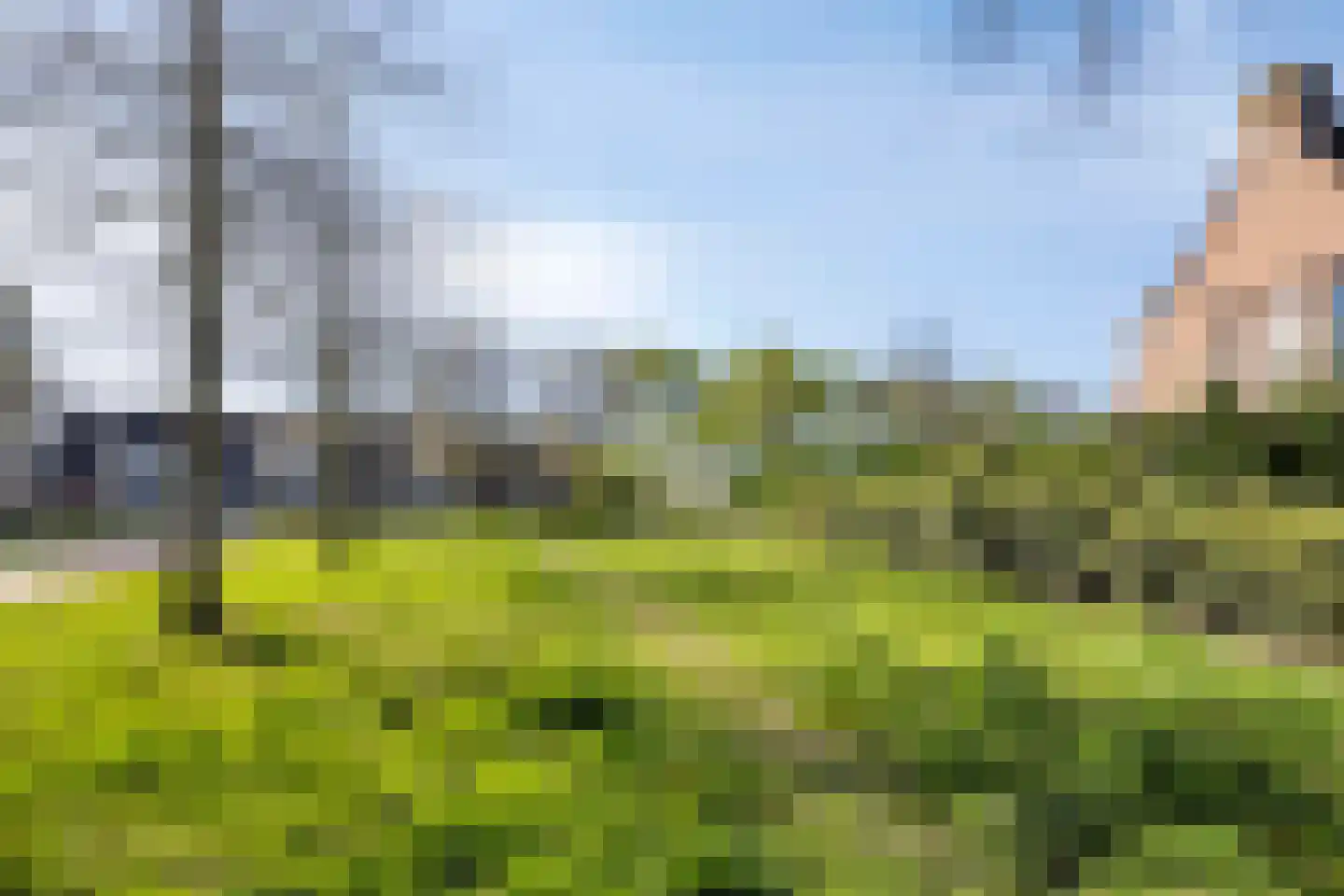 Eiberberg 11 Roosendaal thumbnail 43