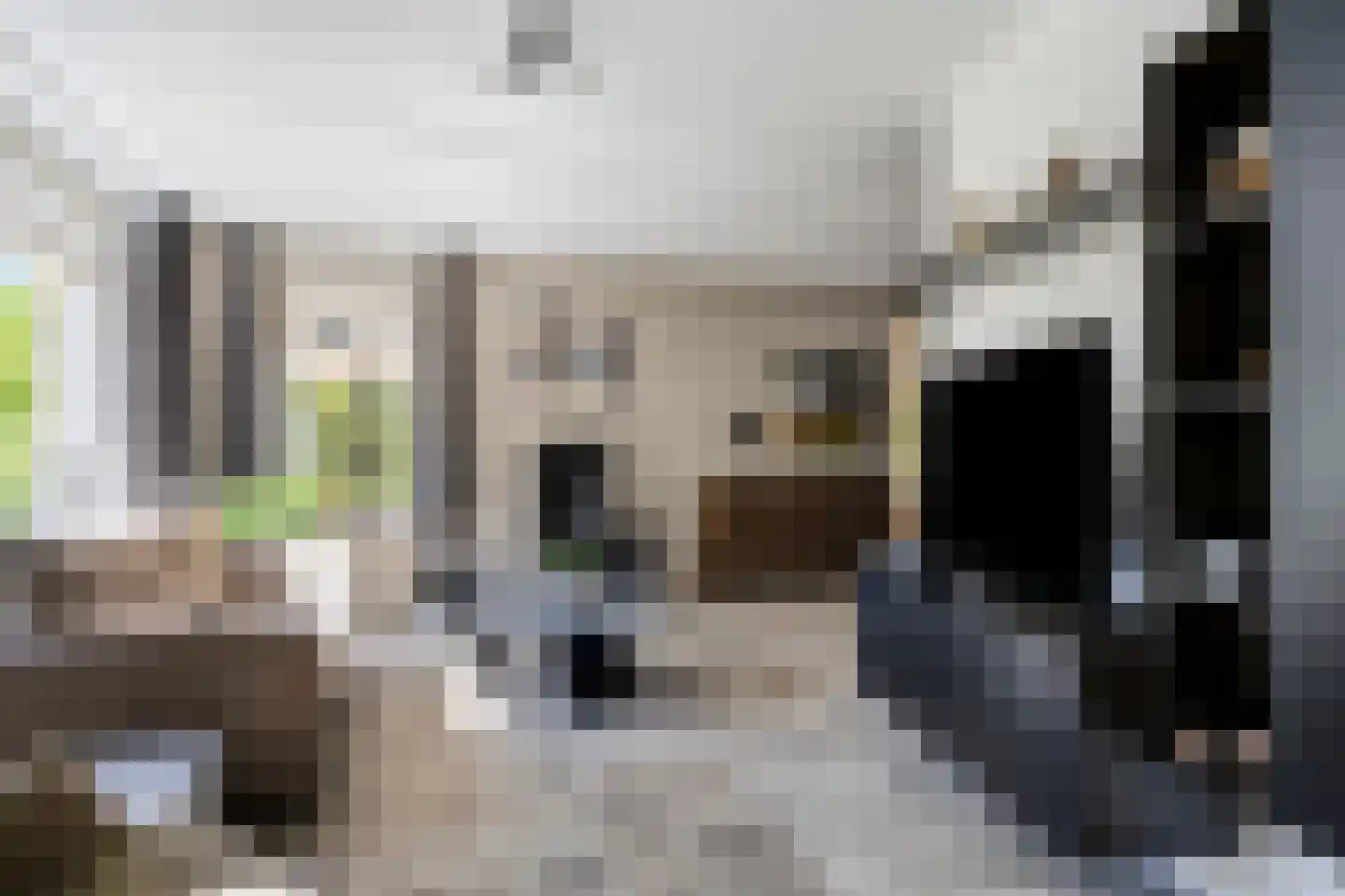 Eiberberg 11 Roosendaal thumbnail 8