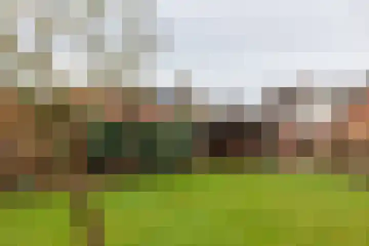 Eibergseweg 22 Groenlo thumbnail 5