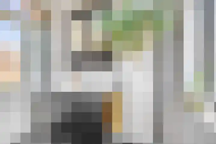 Eiberhof 39 Hardenberg thumbnail 25