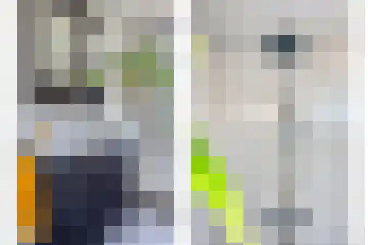 Eiberhof 39 Hardenberg thumbnail 27