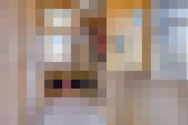 Eiberhof 39 Hardenberg thumbnail 31