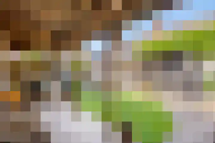 Eiberhof 39 Hardenberg thumbnail 37