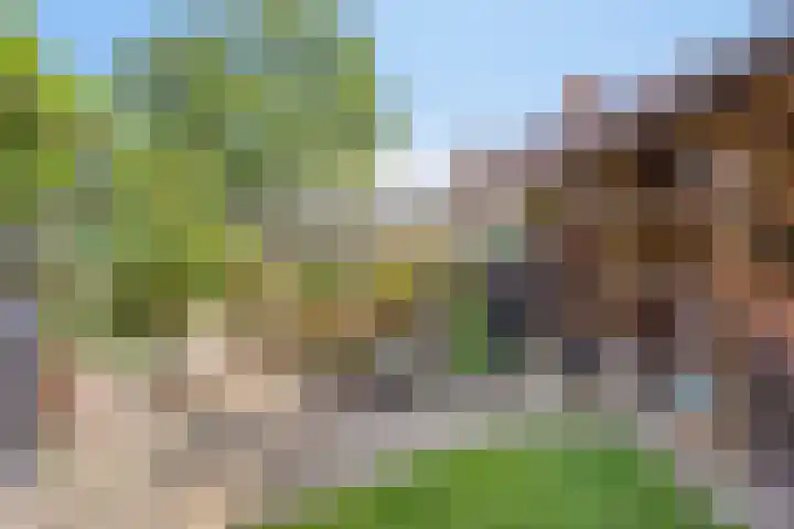 Eiberhof 39 Hardenberg thumbnail 39