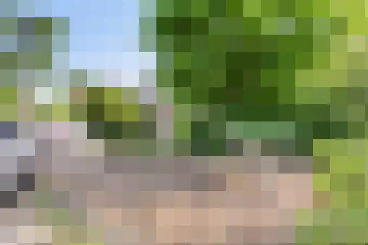 Eiberhof 39 Hardenberg thumbnail 40