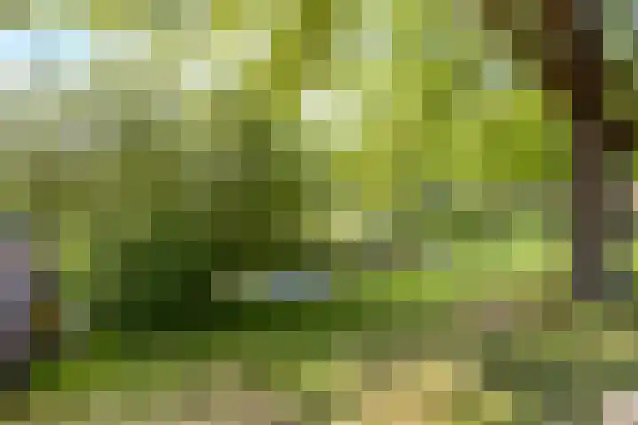 Eiberhof 39 Hardenberg thumbnail 42