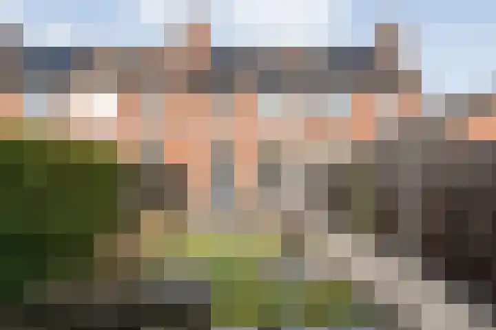 Eiberhof 64 Hardenberg thumbnail 50