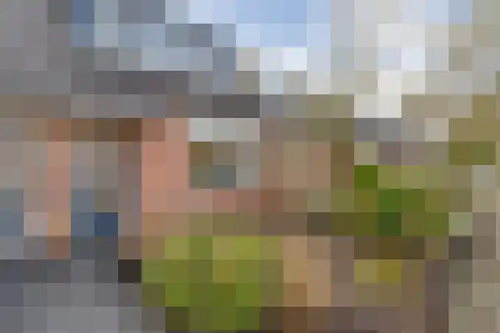 Eiberhof 64 Hardenberg thumbnail 6