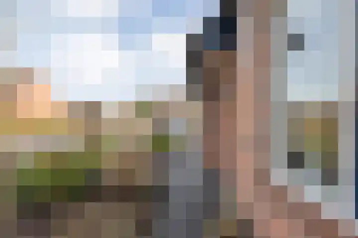 Eiberhof 64 Hardenberg thumbnail 8
