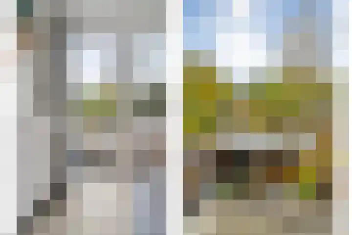 Eiberhof 8 Hardenberg thumbnail 29