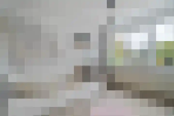Eiberhof 8 Hardenberg thumbnail 30