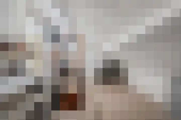Eiberhof 8 Hardenberg thumbnail 37