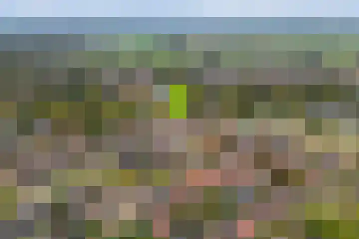 Eiberhof 8 Hardenberg thumbnail 4