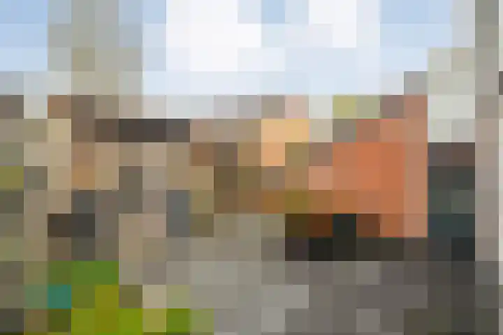 Eiberhof 8 Hardenberg thumbnail 41