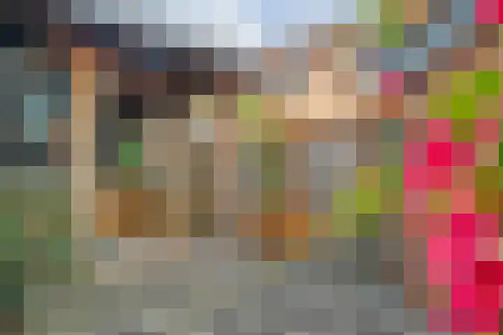 Eiberhof 8 Hardenberg thumbnail 43