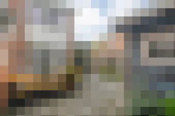 Eiberhof 8 Hardenberg thumbnail 46
