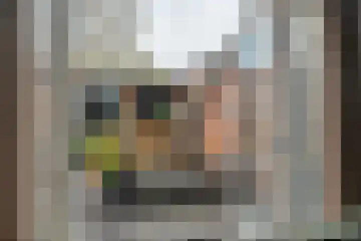 Eiberhof 8 Hardenberg thumbnail 51