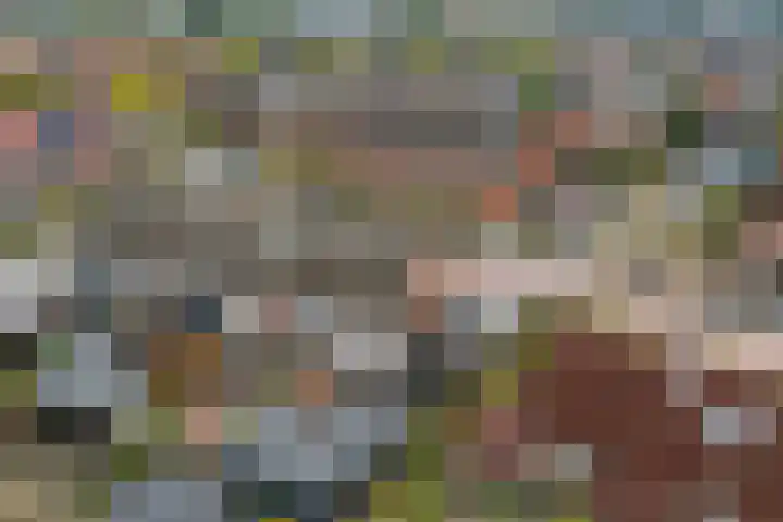 Eiberhof 8 Hardenberg thumbnail 54